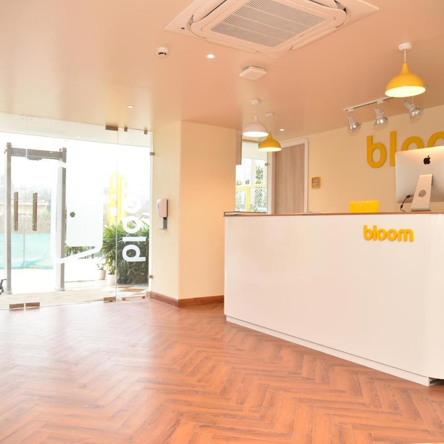 Bloom - Golf Course Road Gurgaon