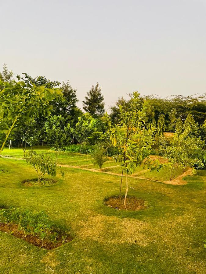 Anantam Aravali *