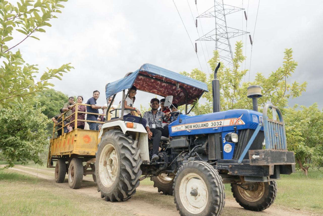 Farm stay Madhavgarh Farm &