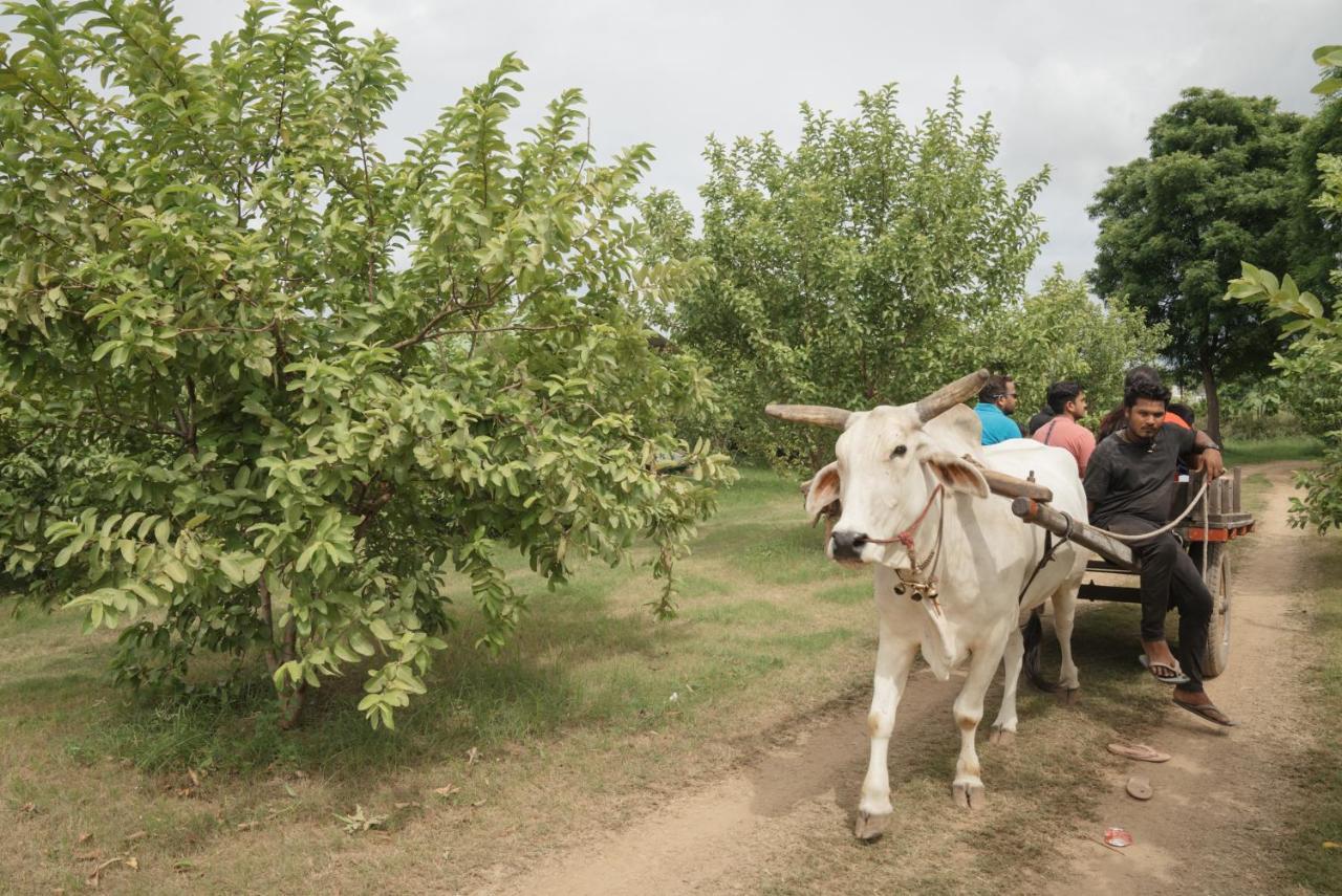 Madhavgarh Farm & Farm stay *
