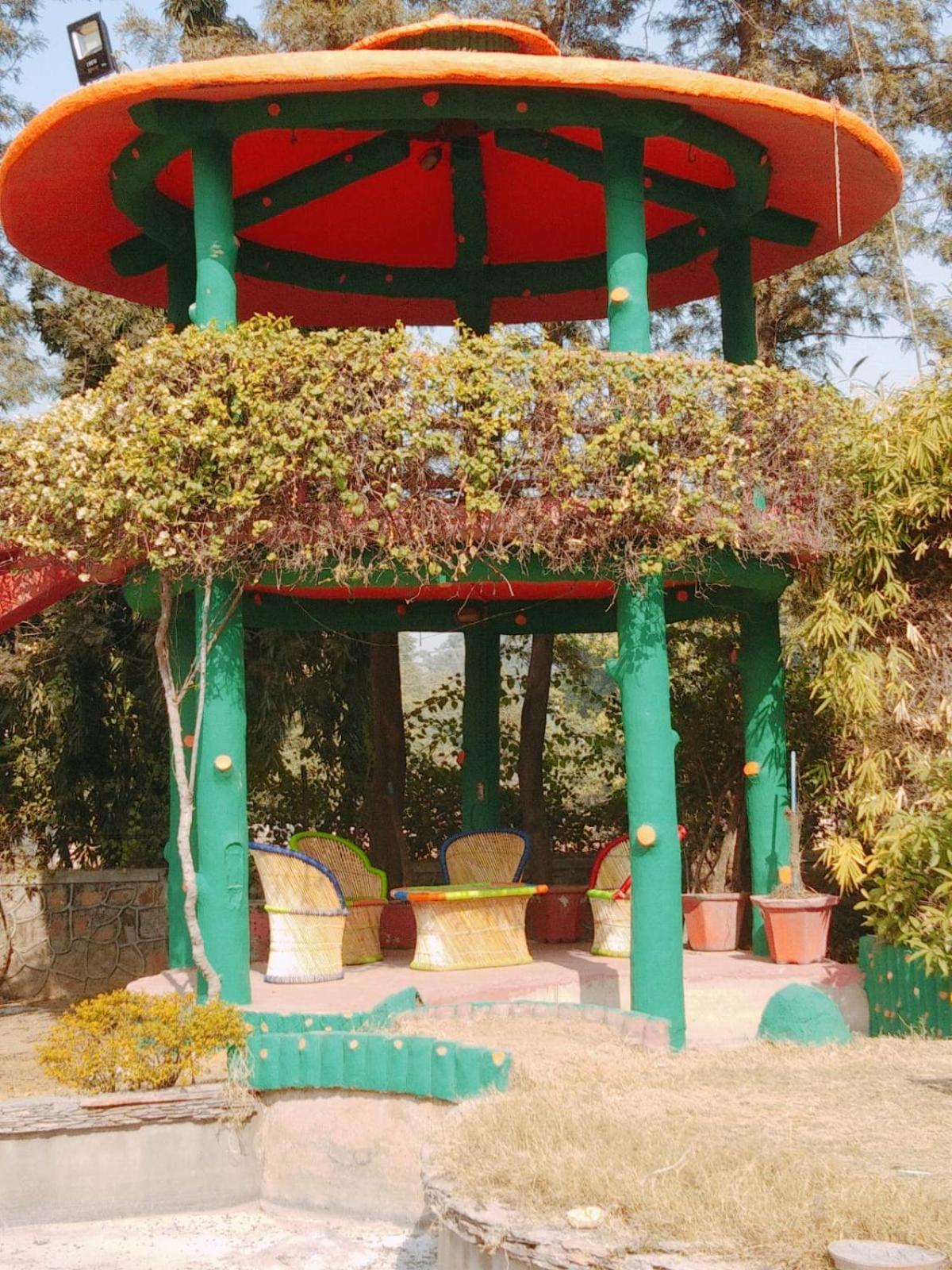 Green Orchid Farms I Swimming Pool I Wedding I Party Gurgaon