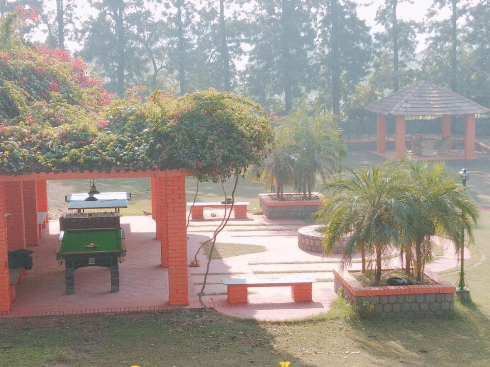 Green Orchid Farms I Swimming Pool I Wedding I Party Gurgaon