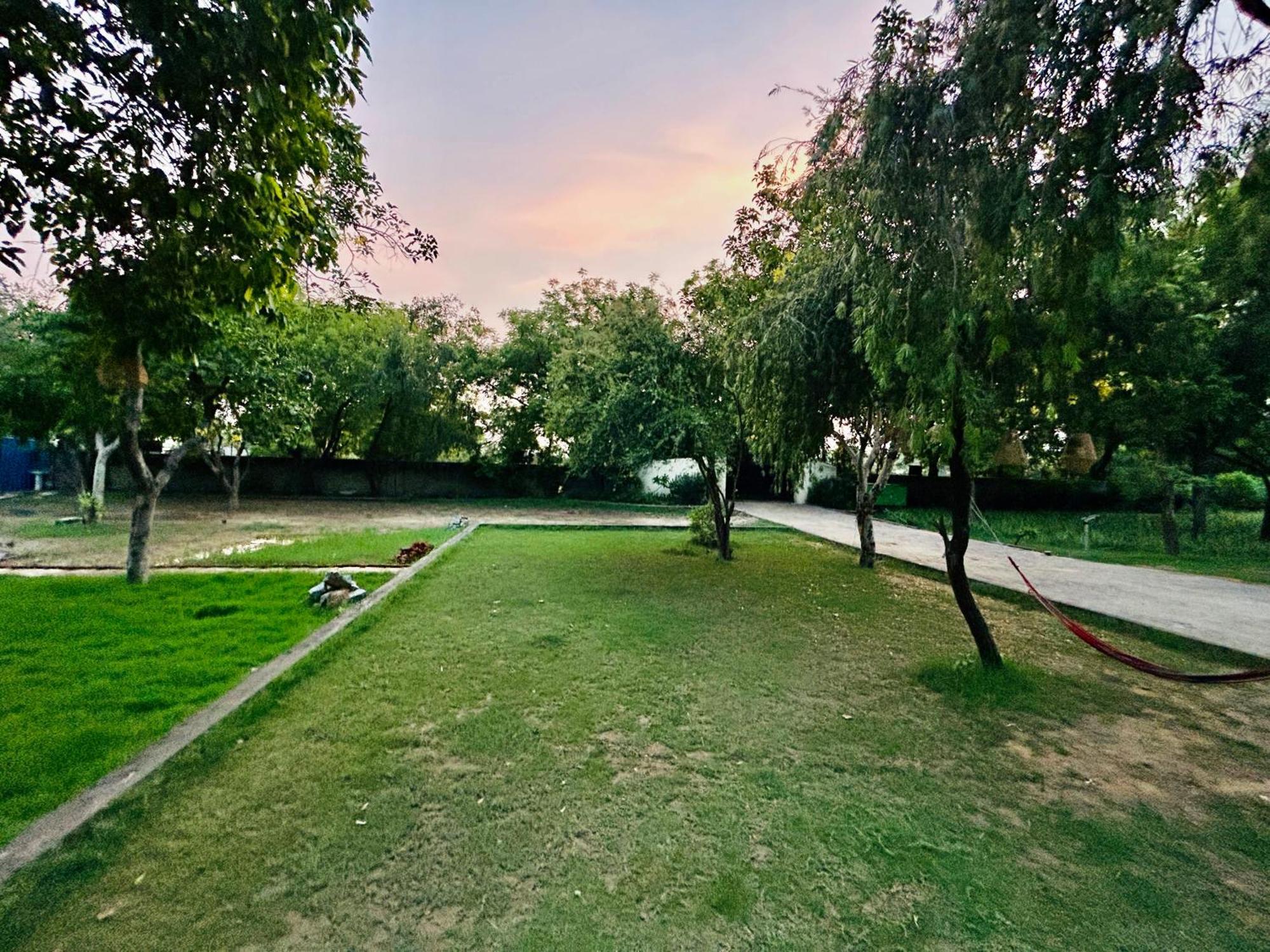 Willow Woods Farmhouse Farm stay