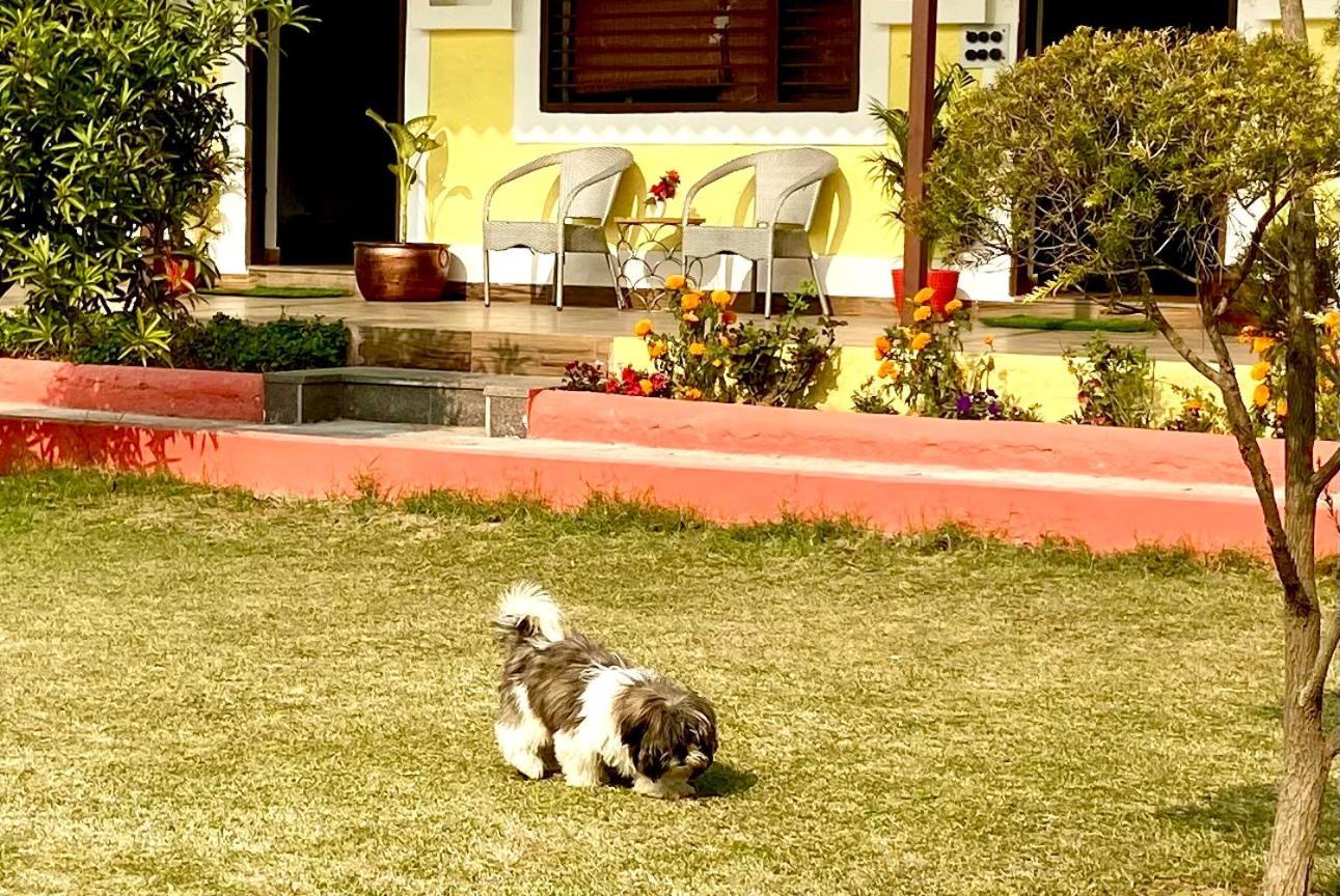 Vanzara Retreat Farm stay