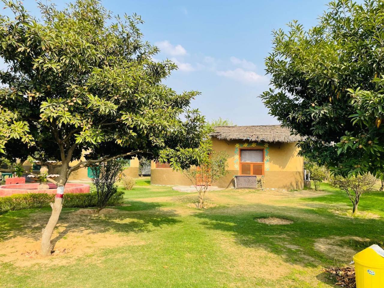 Arise Ethnic Village Hotel Gurgaon