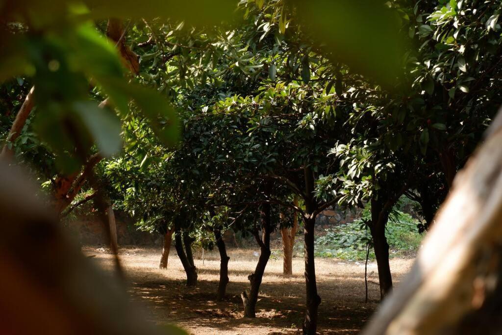 The Raghav Gurgaon