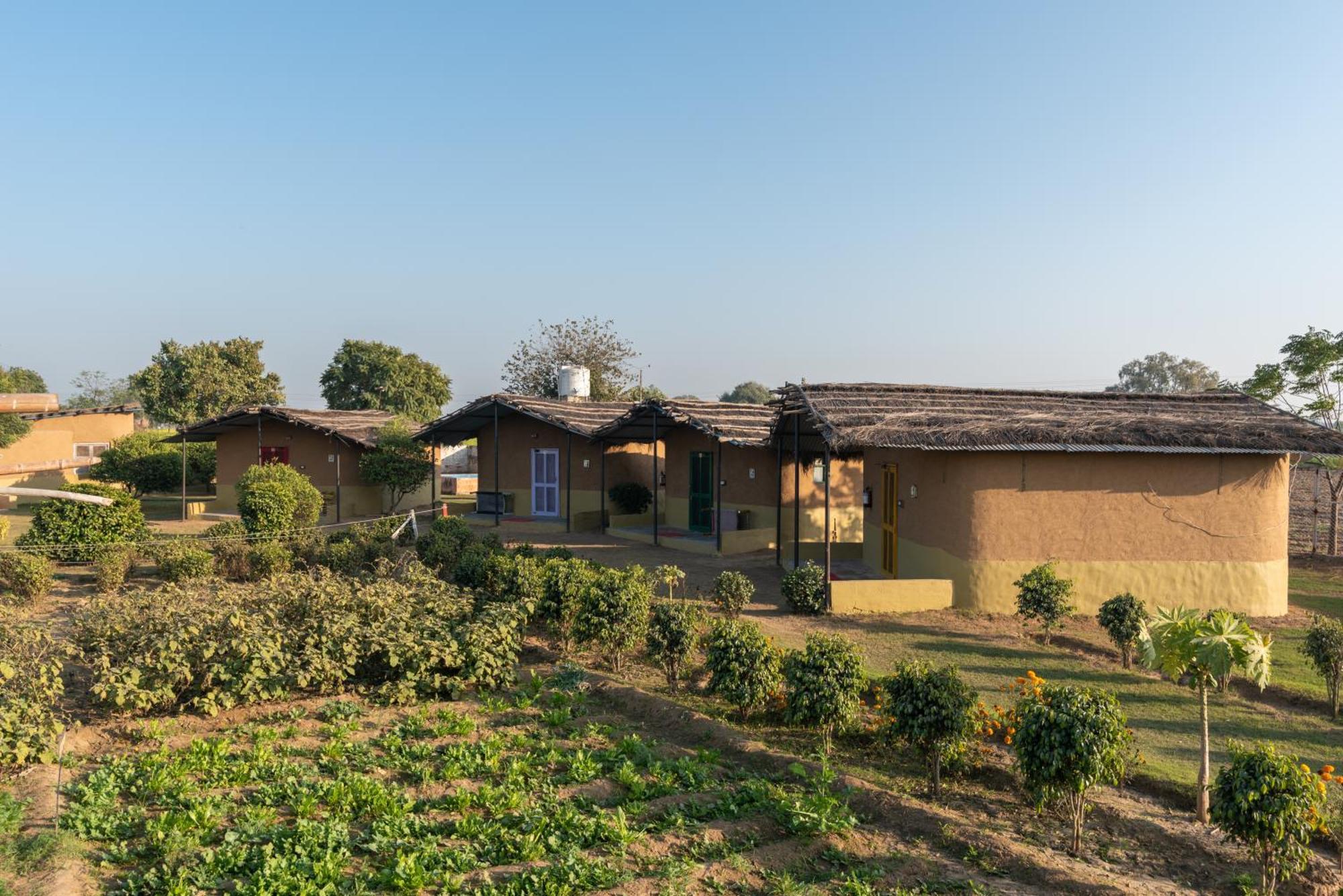 Arise Ethnic Village