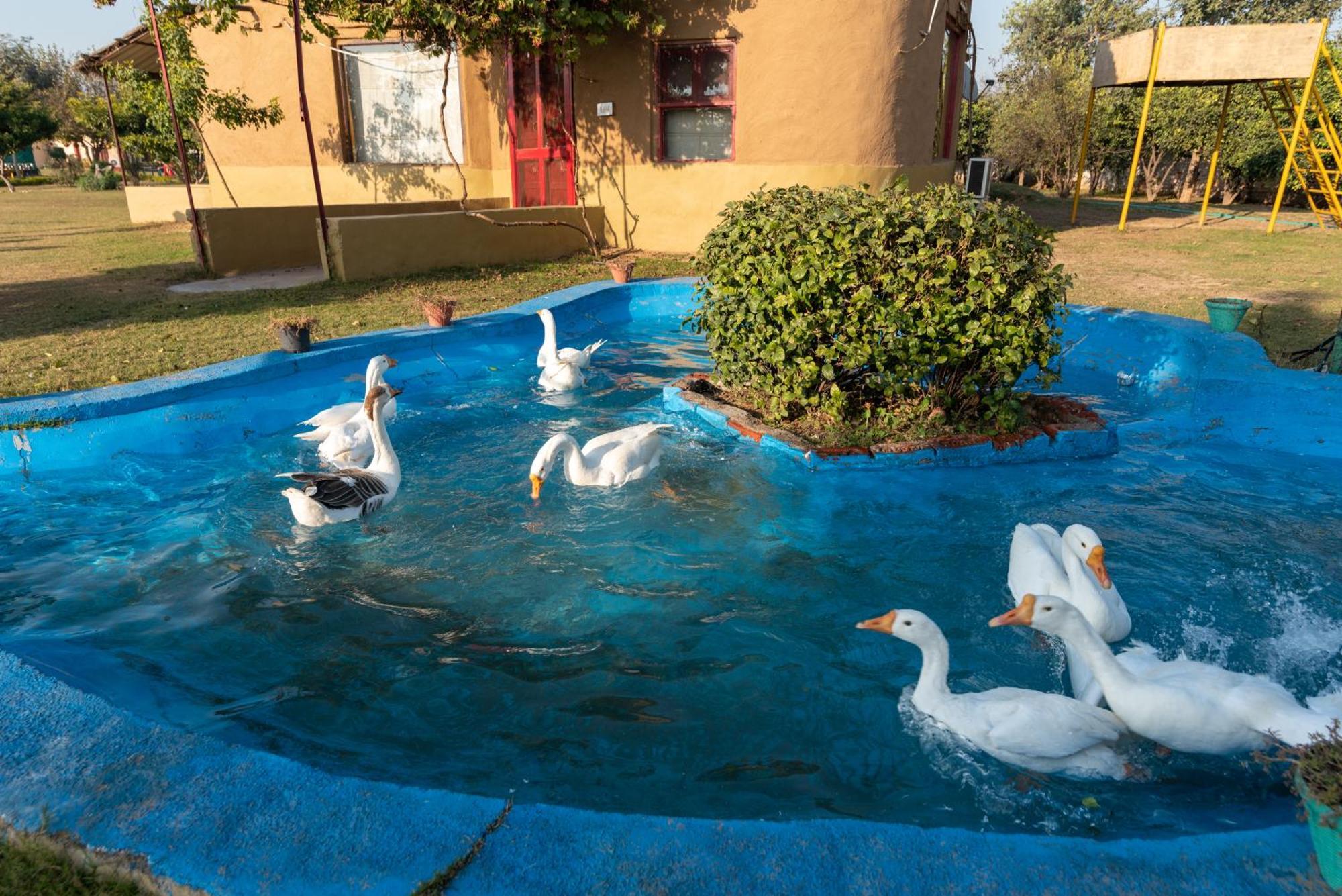 Hotel Arise Ethnic Village Gurgaon