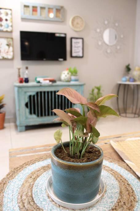 Zaniah - 1bhk, 2 Balconies, Free Parking & Wi-fi Apartment Gurgaon
