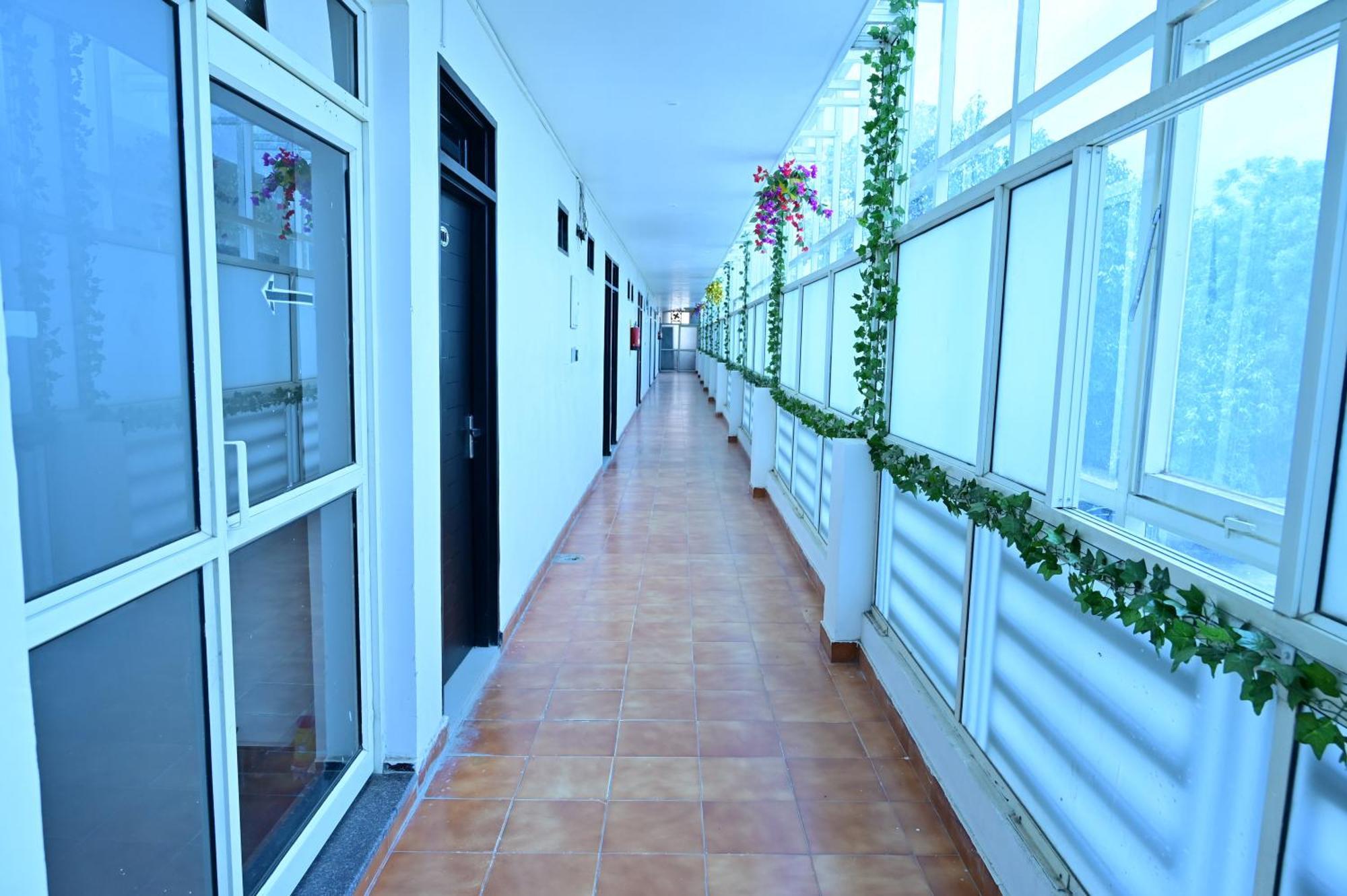 Date Palm Gurgaon