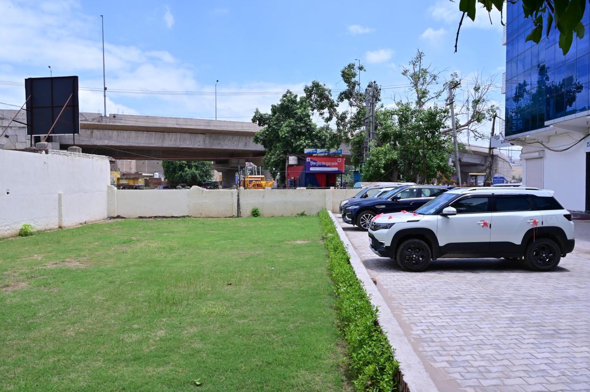 Date Palm Gurgaon