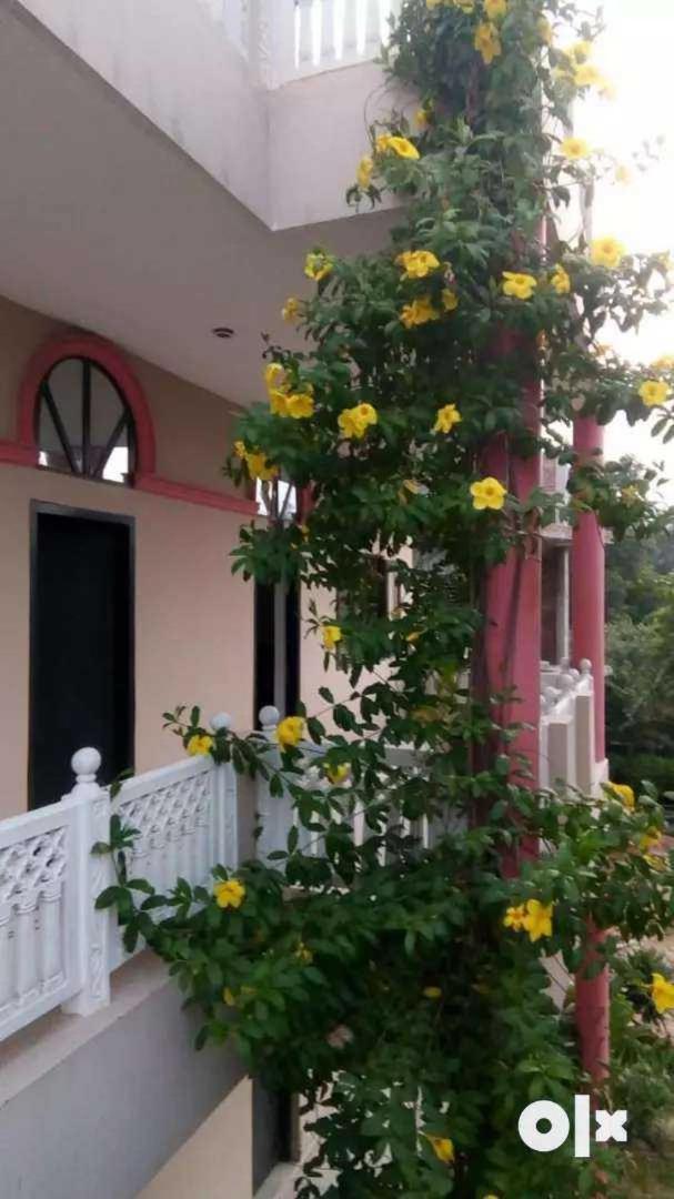 Sai Maharaja Farms Apartment Gurgaon