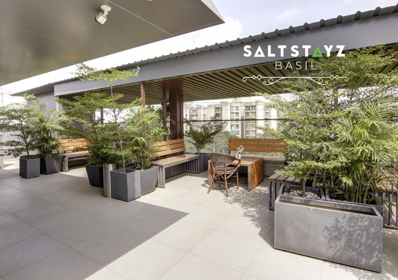 Saltstayz Basil - Near Golf Course Road & Extension Road