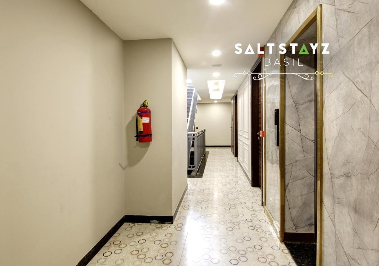 Saltstayz Basil - Near Golf Course Road & Extension Road Gurgaon
