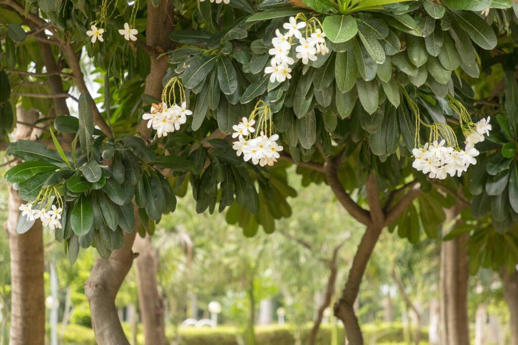 Villa Zoned Farm House A Natural Haven In Manesar, Gurugram *