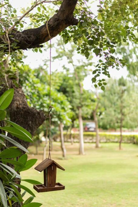 Zoned Farm House A Natural Haven In Manesar, Gurugram Gurgaon