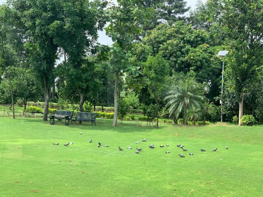 Zoned Farm House A Natural Haven In Manesar, Gurugram