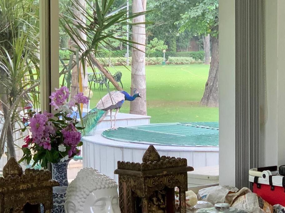 Zoned Farm House A Natural Haven In Manesar, Gurugram *