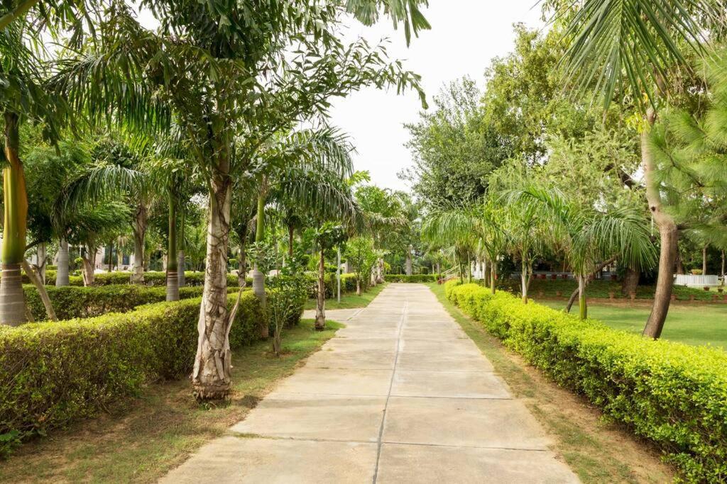 Zoned Farm House A Natural Haven In Manesar, Gurugram *