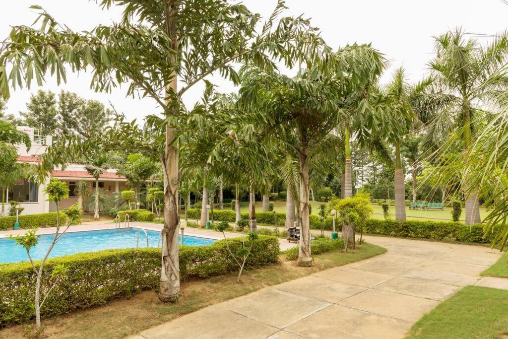 Zoned Farm House A Natural Haven In Manesar, Gurugram