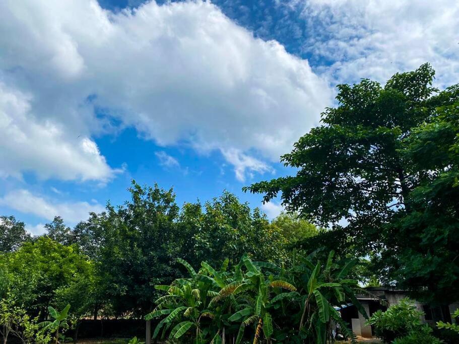 Krishraj Farms-countryfamilyescape At Leopard Trail *