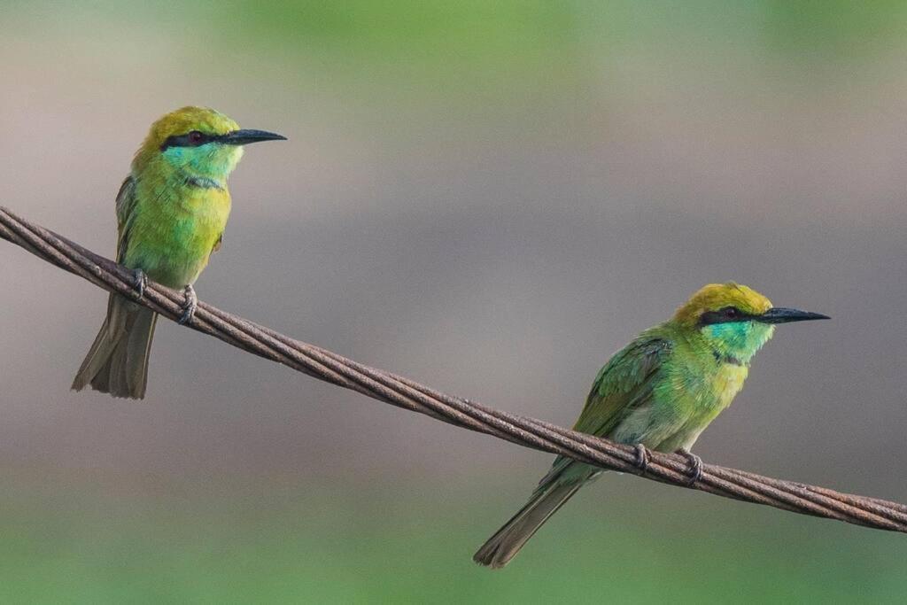 Krishraj Farms-countryfamilyescape At Leopard Trail Holiday home Gurgaon