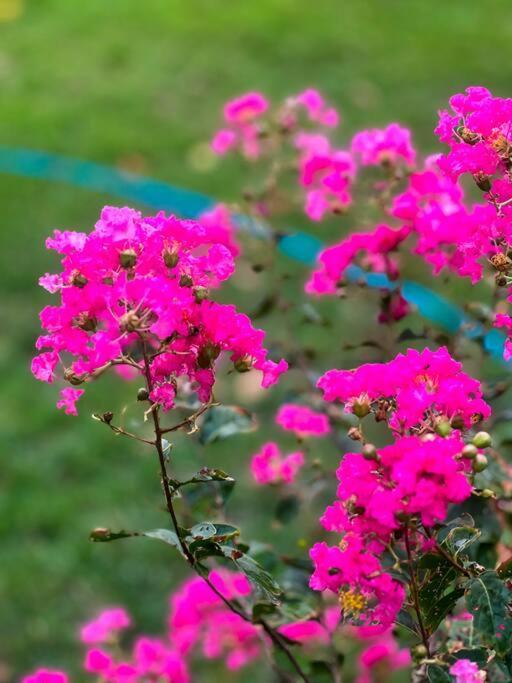 Krishraj Farms-countryfamilyescape At Leopard Trail Holiday home *