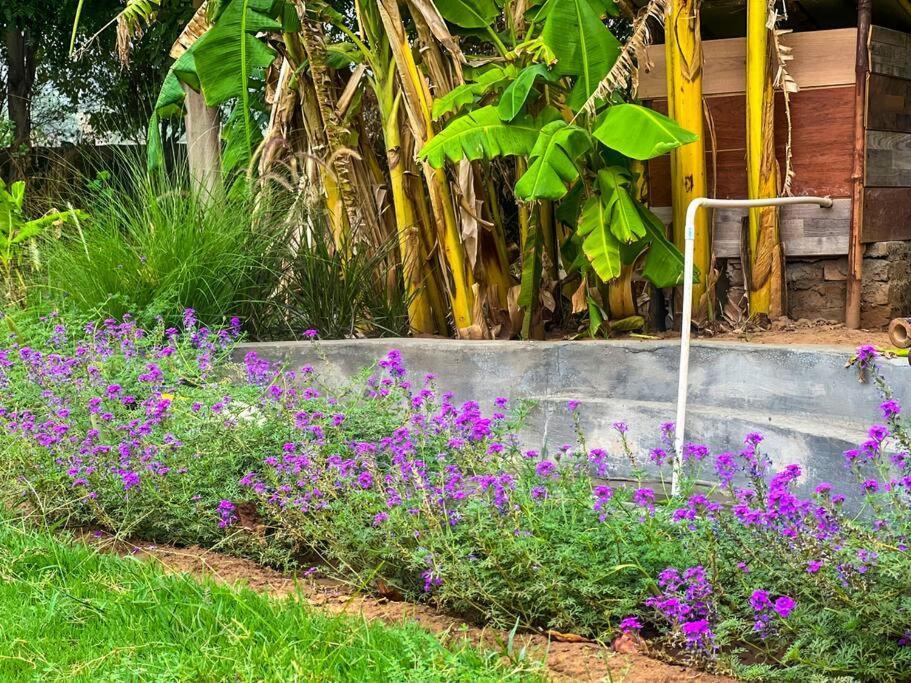 Krishraj Farms-countryfamilyescape At Leopard Trail * Gurgaon