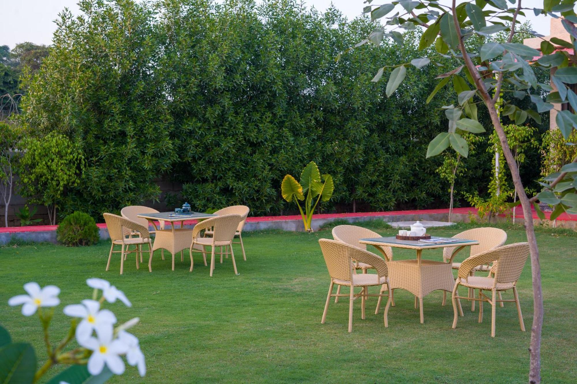 Elivaas 5 Bhk With Pvt Pool & Garden - Zenora Villa Gurgaon
