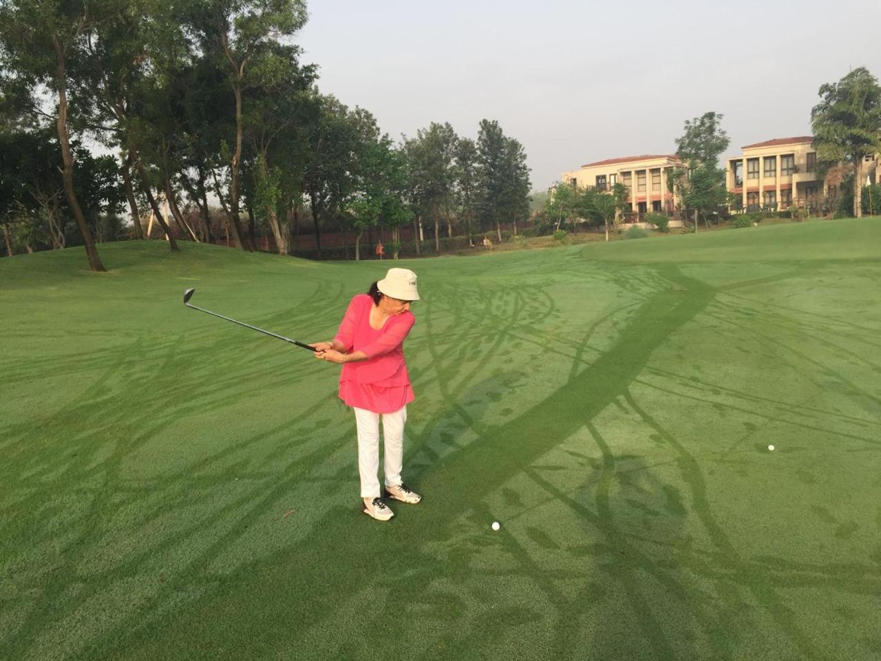 Apartment - Tarudhan Valley Golf Gurgaon