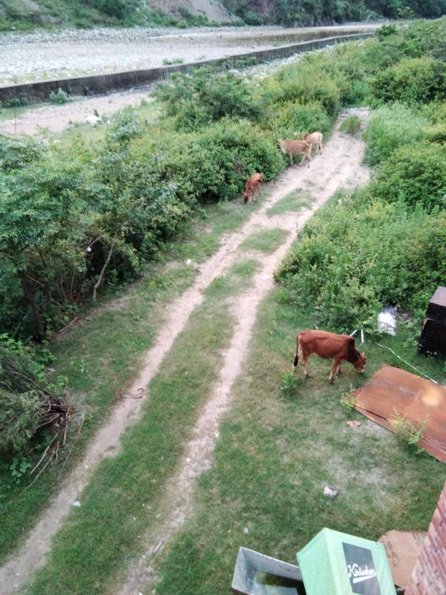 Hotel Maharaja Farms Gurgaon