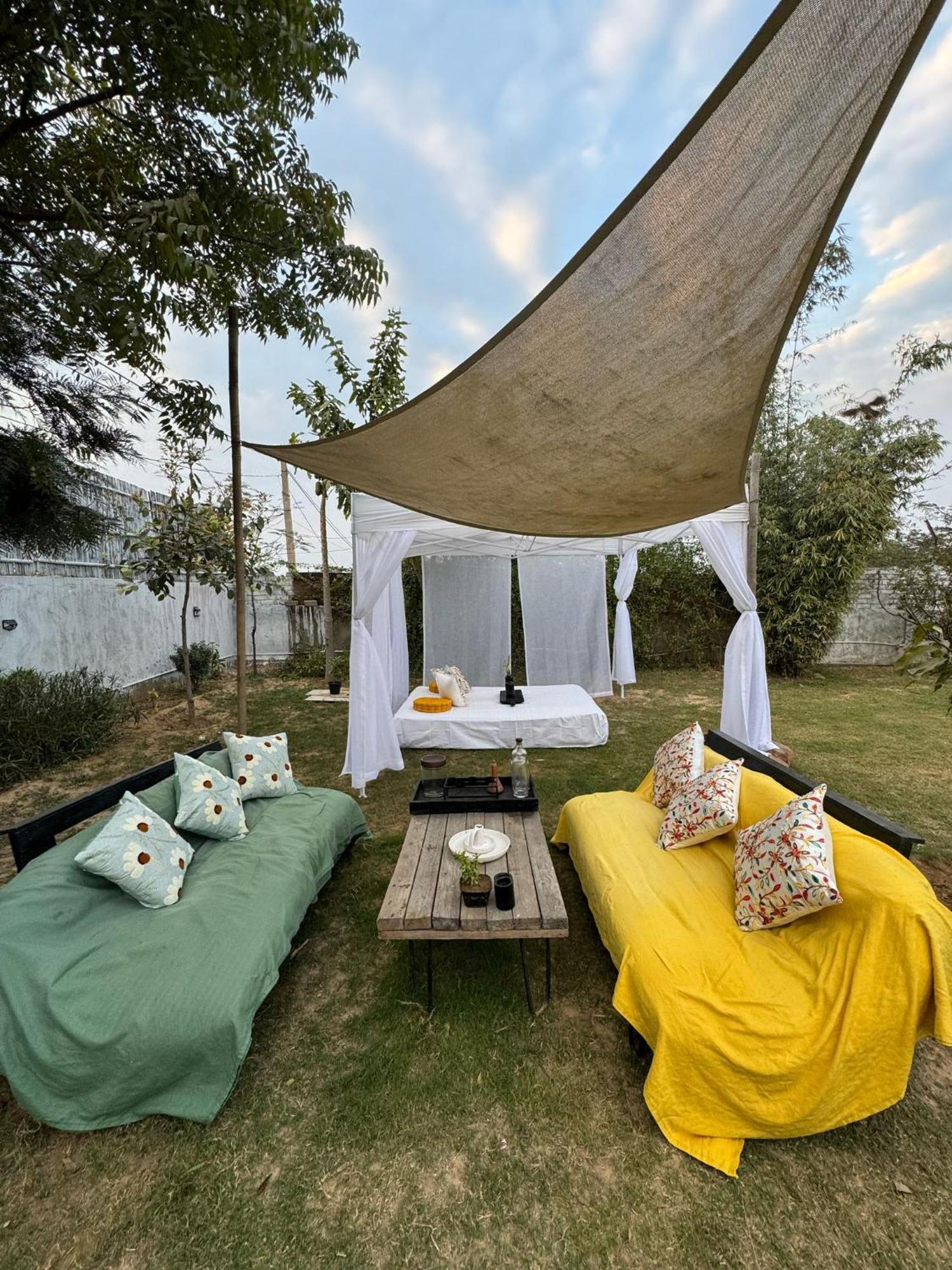 The Nirvana Nest