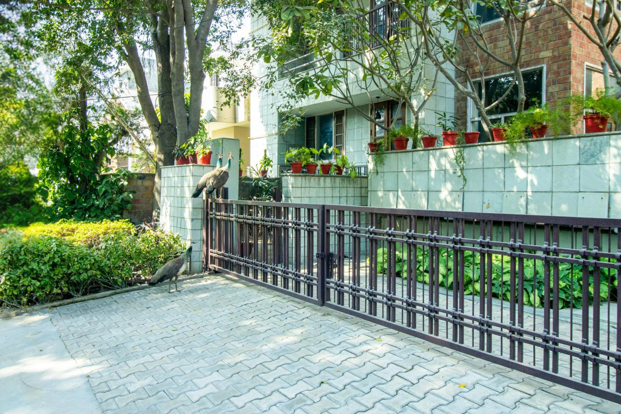 Villa Opulent Antique 6br Independent In Gurugram