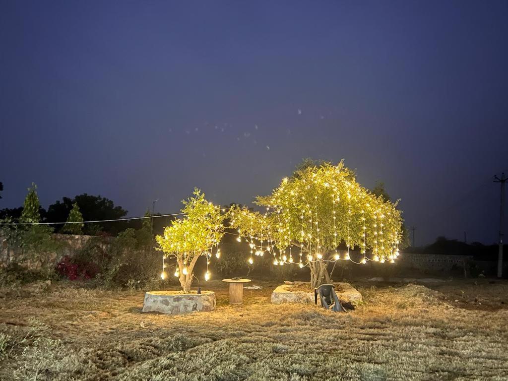 Farm stay Viable C95 Ansal Aravali Gurgaon
