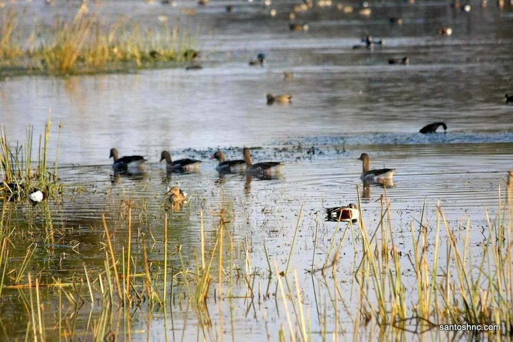Bird Sanctuary Tourist Hotel 3*