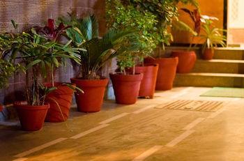 Hotel Oyo 357 Amazing Gurgaon