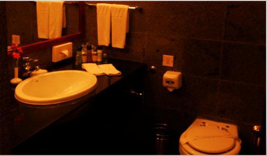 Resort Ashok Country