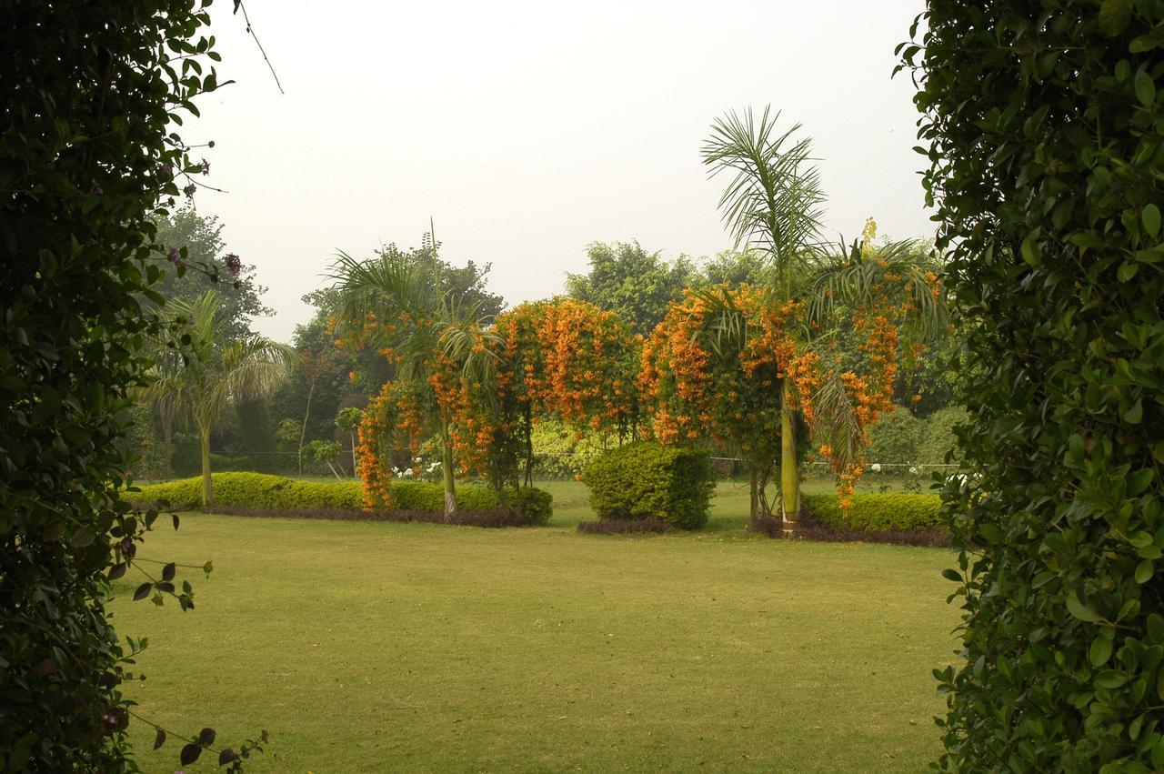 Surjivan Resort
