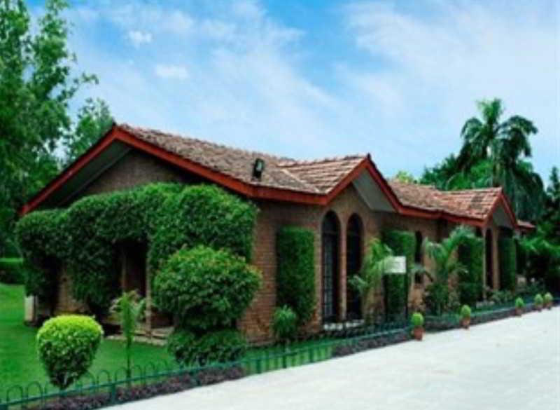 Ashok Country 4*