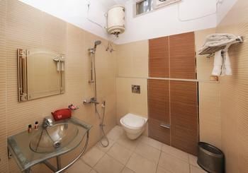 Oyo Fortis Hospital 3*