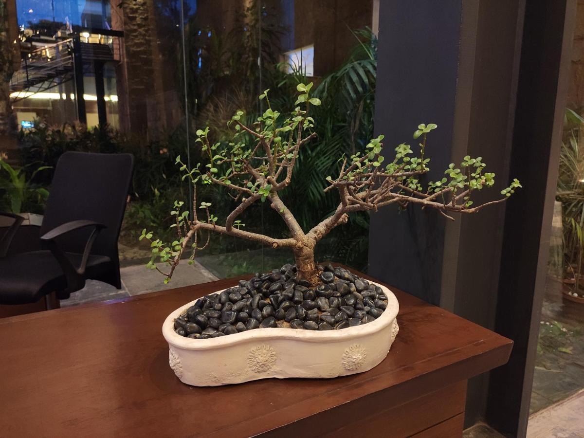 Resort Taj Damdama & Spa, Gurugram 5*
