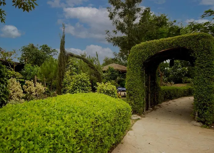Omera Farm Gurugram A Blusalz Rural Experience
