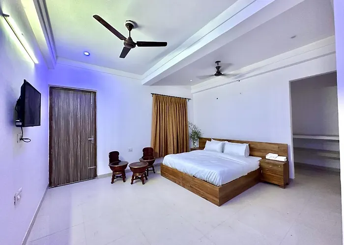 Cozy Room With No Restrictions
