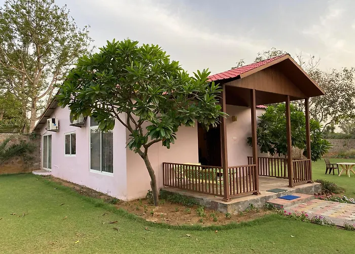 Orchard At Sarai - Private Cottage, Large Lawn, & Pet Friendly