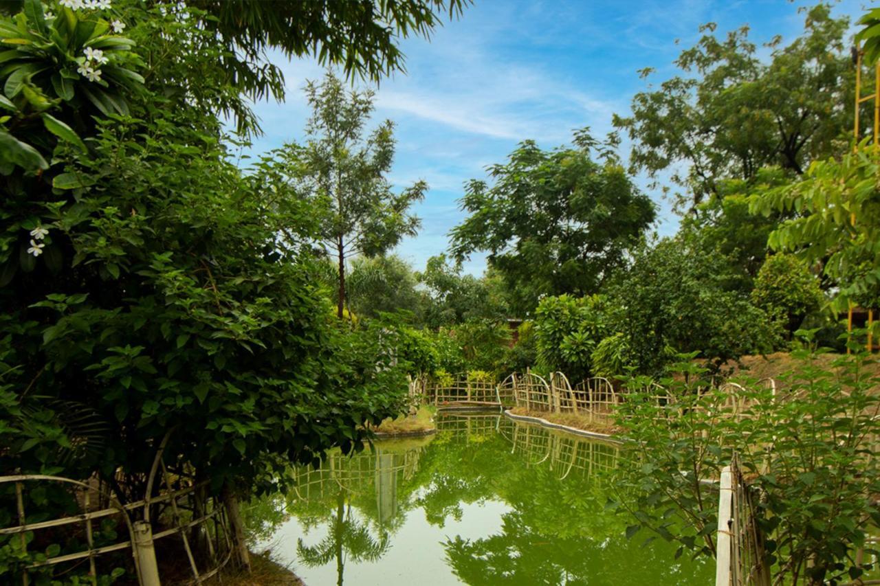 Omera Farm Gurugram A Blusalz Rural Experience *