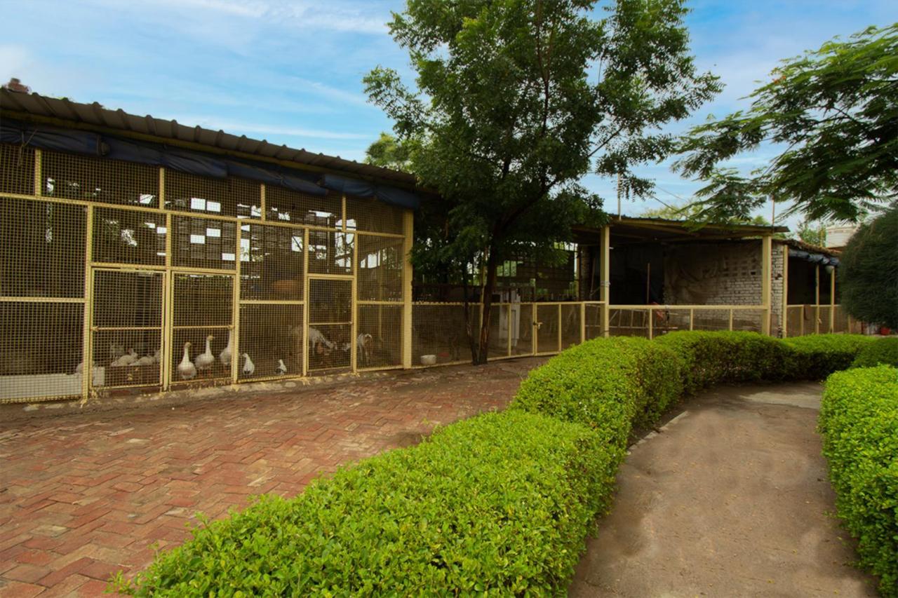 Farm stay Omera Farm Gurugram A Blusalz Rural Experience Gurgaon
