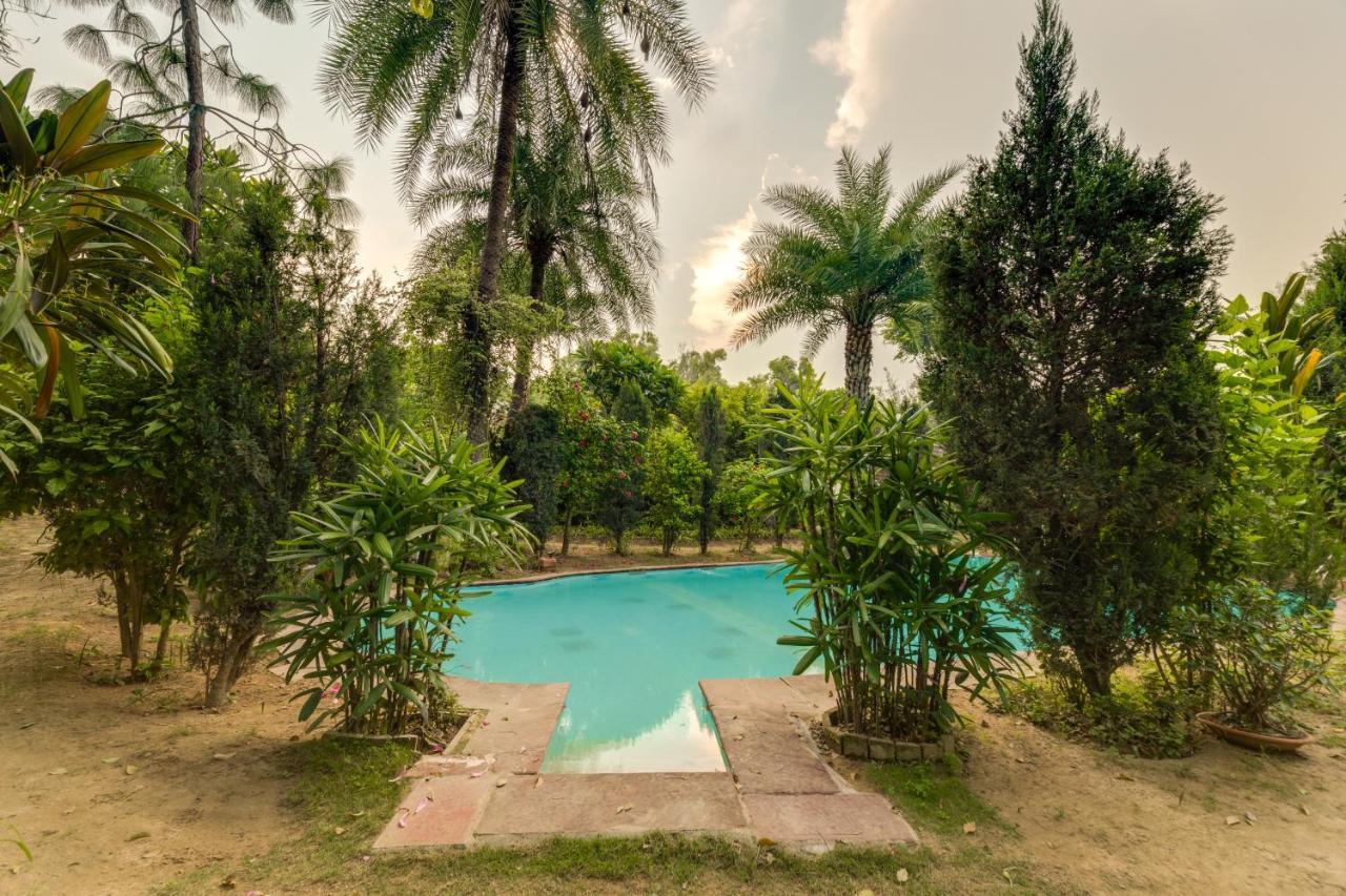Villa Hostie Chinar Haveli - Heritage With Pool, *