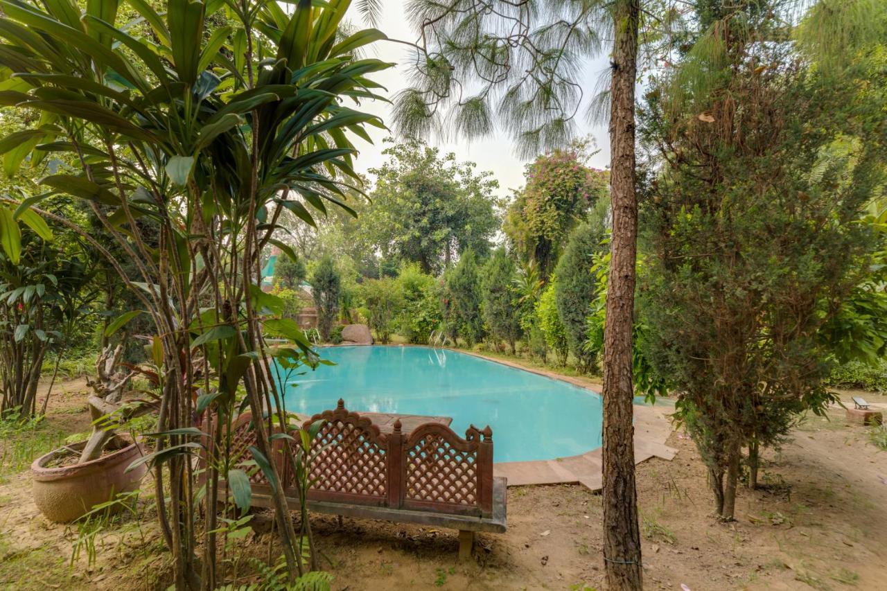 Hostie Chinar Haveli - Heritage With Pool,