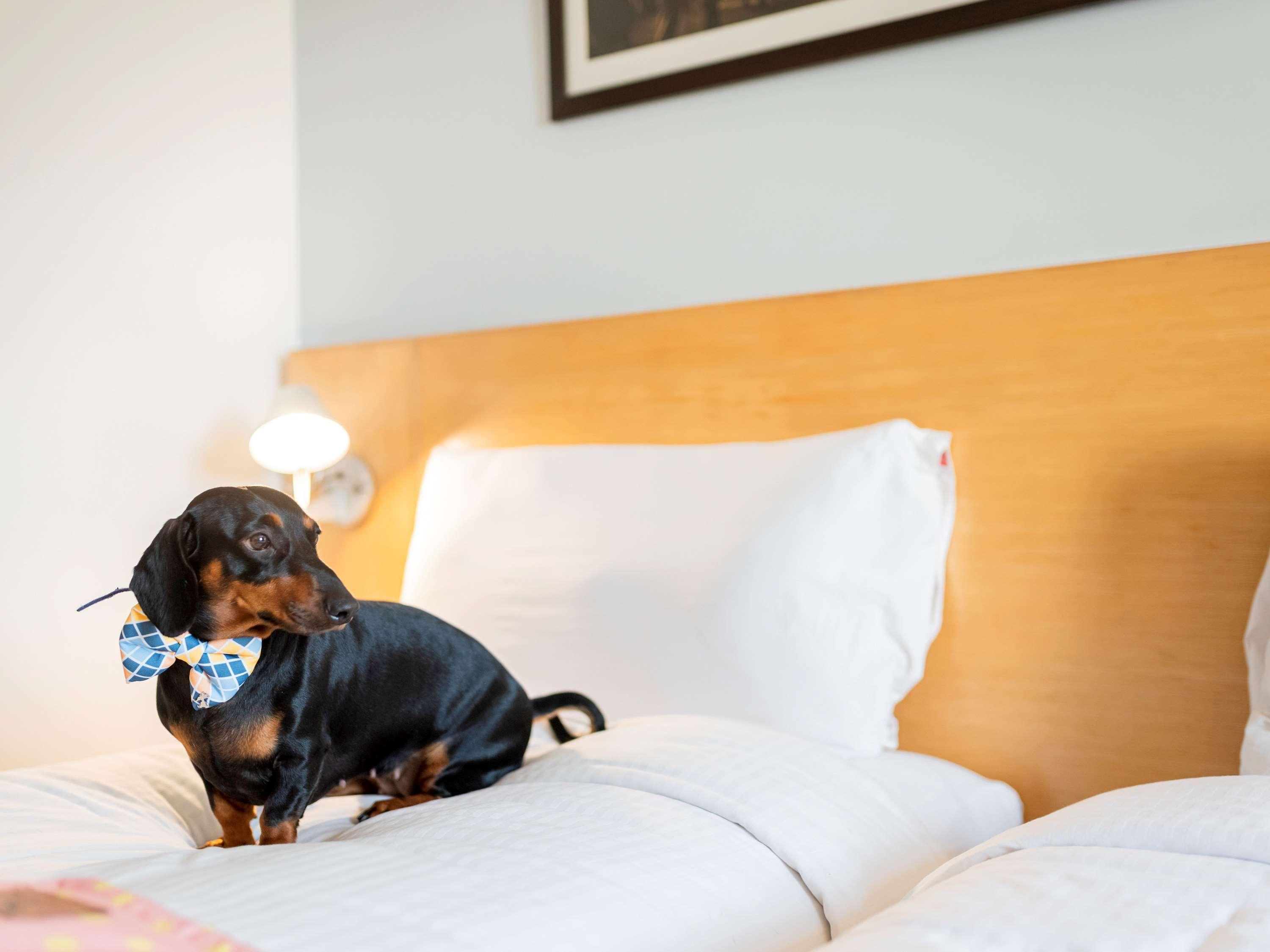 Hotel Ibis Golf Course Road - An Accor Brand