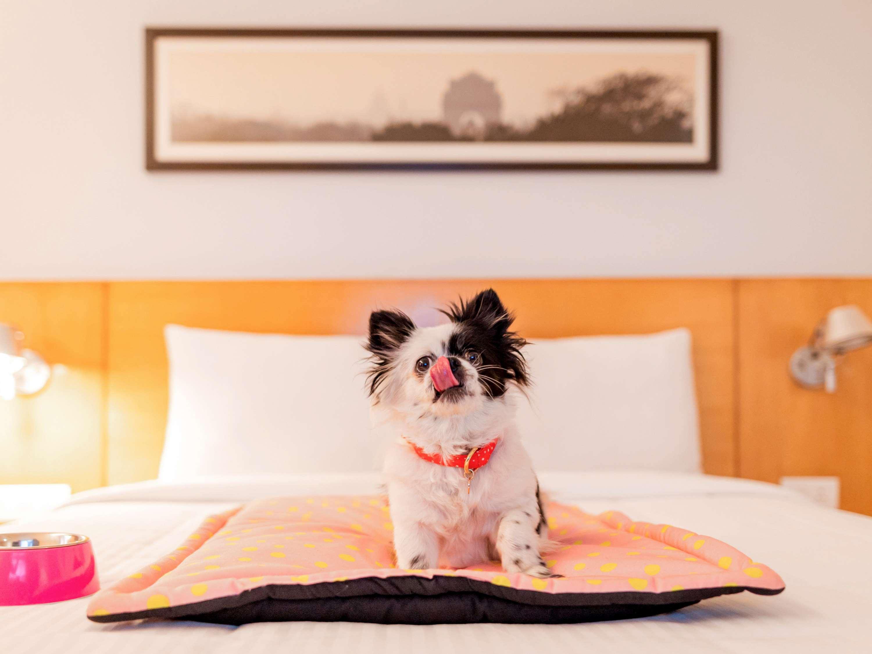 Hotel Ibis Golf Course Road - An Accor Brand Gurgaon